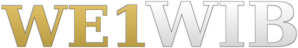 we1wib Logo